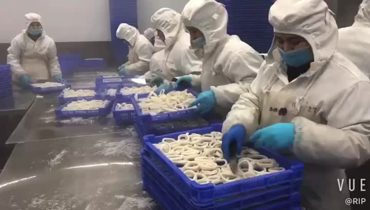 Squid Ring