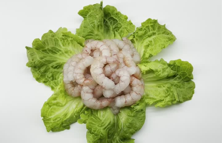 Red Shrimp